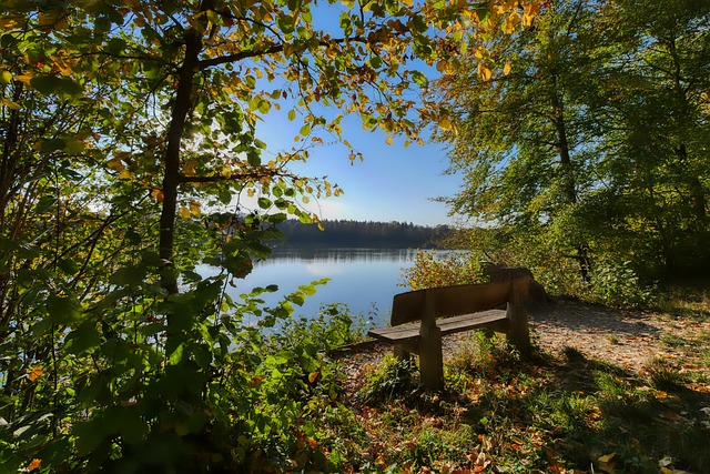 打法和战术 打法和战术