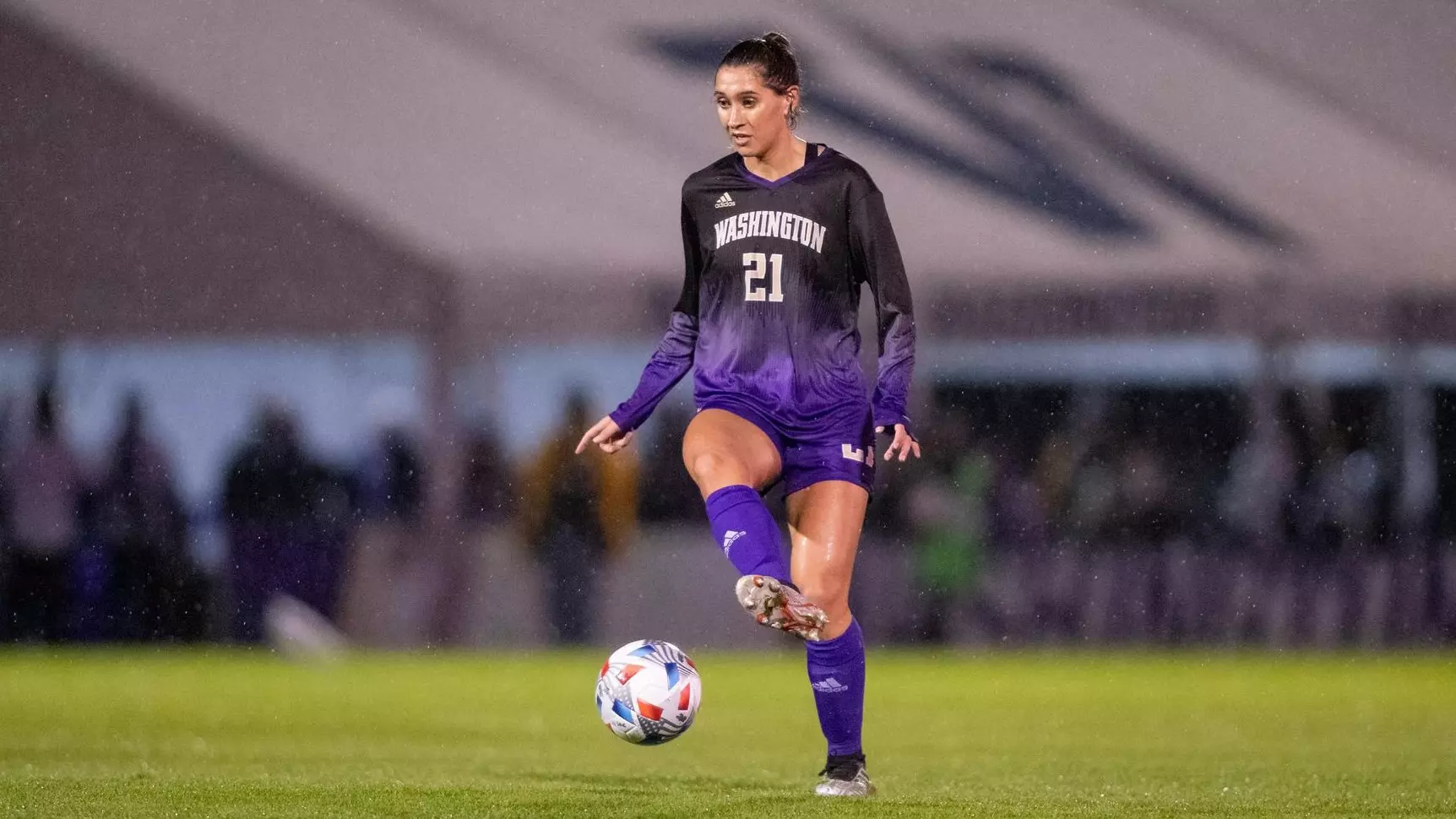 也体现了巴 也体现了巴