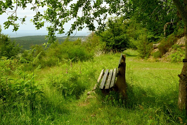 球迷们对球 球迷们对球